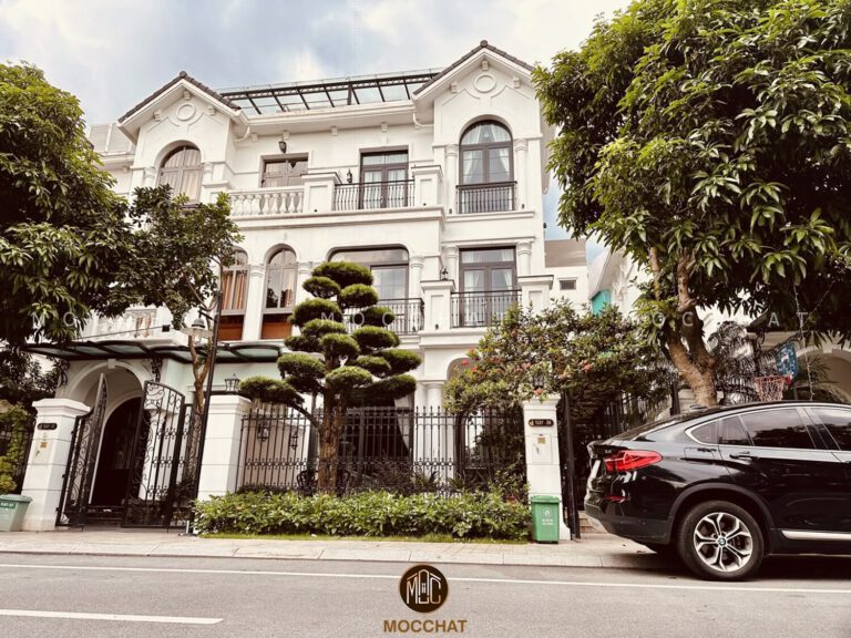 Toàn cảnh dự án