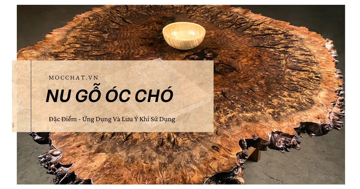 Đặc điểm ứng dụng nu óc chó
