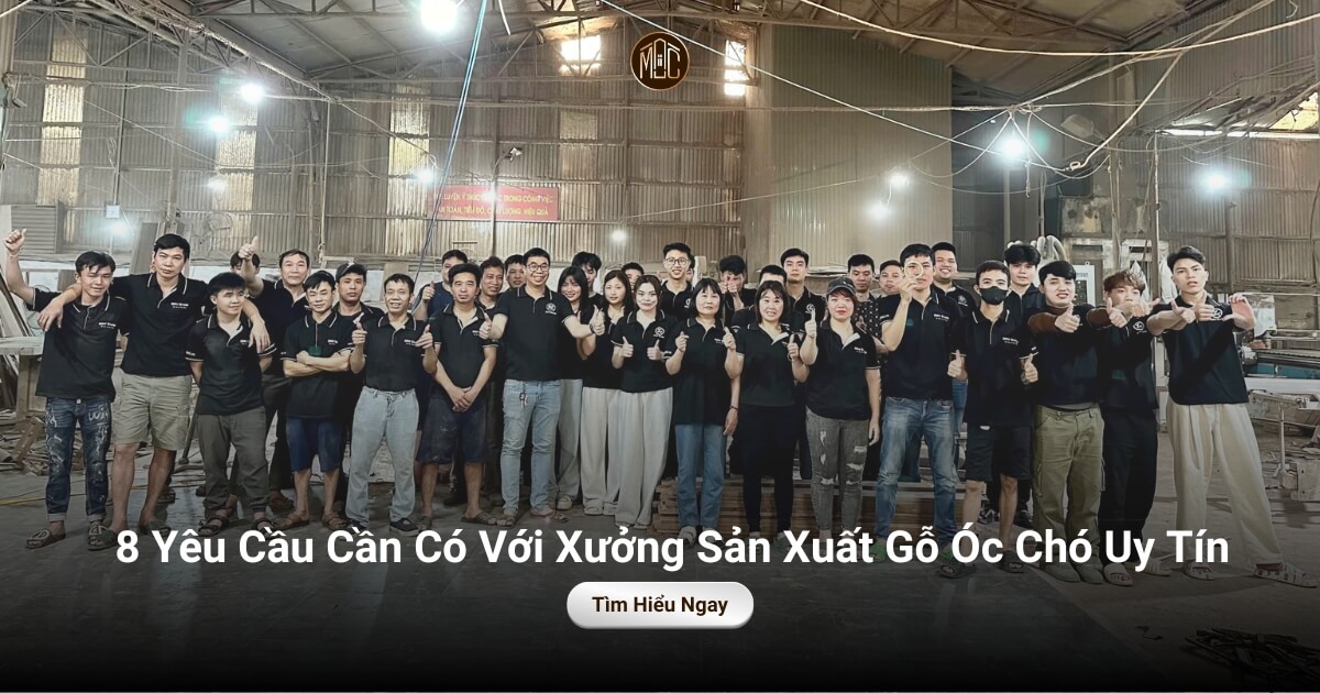8 Yêu Cầu Cần Có Với Xưởng Sản Xuất Gỗ Óc Chó