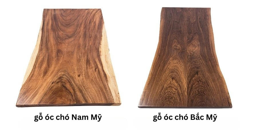 So sánh màu sắc gỗ óc chó Nam Mỹ và gỗ óc chó Bắc Mỹ