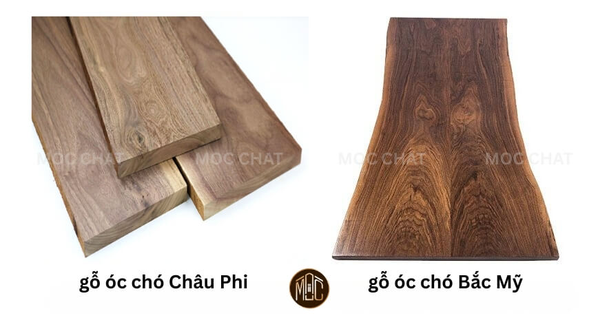 So sánh gỗ óc chó Châu Phi và gỗ óc chó Bắc Mỹ